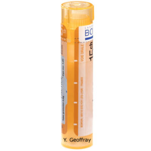 STRAMONIUM gra 1x4g (15CH)