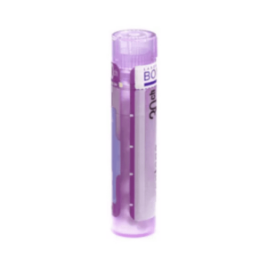 BLATTA ORIENTALIS CH30 4 g