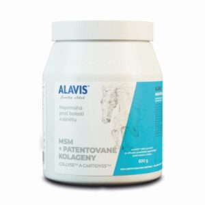 ALAVIS MSM Pre kone 600 g