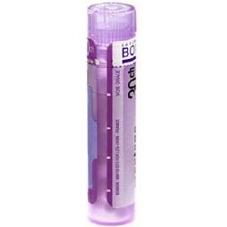 STRAMONIUM gra 1x4g (30CH)