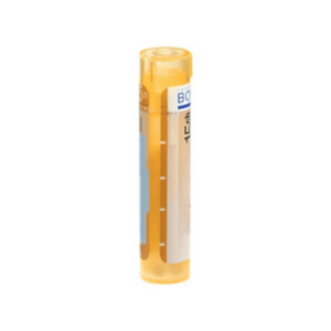 ZINCUM Metallicum gra hom ch15 4 g
