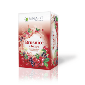 MEGAFYT Brusnice s bazou 20 x 2 g