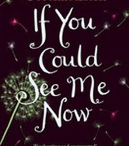 If You Could See Me Now (Cecelia Ahern) (EN)