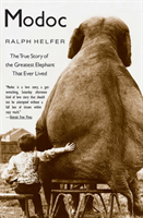 Modoc (Helfer Ralph) (EN)