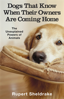 Dogs That Know When Their Owners Are Coming Home (Sheldrake Rupert) (EN)