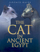 Cat in Ancient Egypt (Malek Jaromir) (EN)