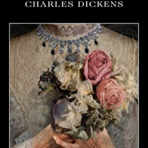Great Expectations (Charles Dickens) (EN)