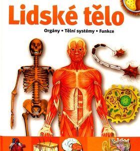 Lidské tělo (česky)