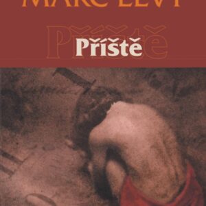 Příště (Steven Levy) (česky)