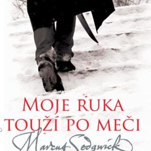 Moje ruka touží po meči (Marcus Sedgwick) (česky)