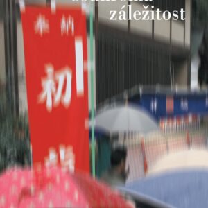Soukromá záležitost (Kenzaburó Óe) (česky)