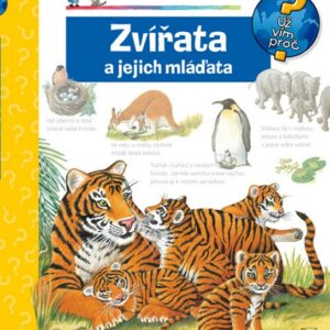 Zvířata a jejich mláďata (Doris Rübel) (česky)