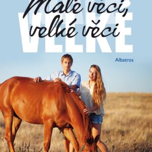Malé věci, velké věci (Martina Drijverová) (česky)
