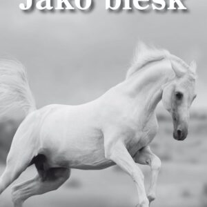 Jako blesk (Lauren St Johnová) (česky)