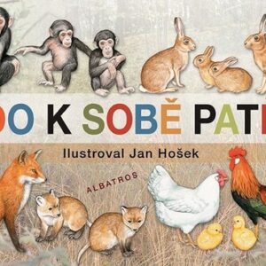 Kdo k sobě patří (Jan Hošek) (česky)