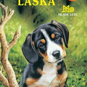 Veľká láska - Psia hliadka (Jenny Dale)