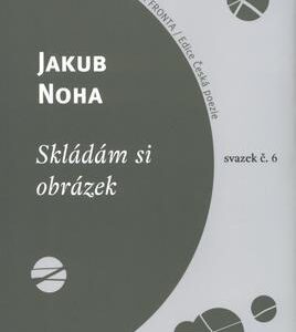 Skládám si obrázek (Noha, Jakub) (česky)