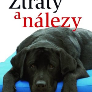 Ztráty a nálezy (Jacqueline Sheehanová) (česky)