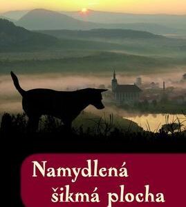 Namydlená šikmá plocha (Rudolf Čechura) (česky)