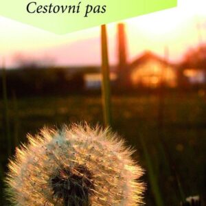 Cestovní pas (Herta Müllerová) (česky)