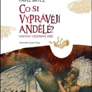 Co si vyprávějí  andělé (Pavel Brycz) (česky)