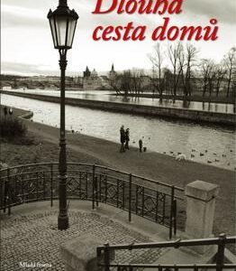Dlouhá cesta domů (Heller Charles) (česky)