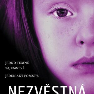 Nezvěstná (Rachel Abbottová) (česky)