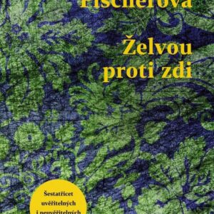 Želvou proti zdi (Daniela Fischerová) (česky)