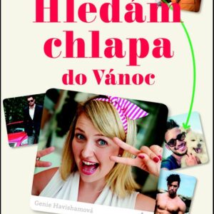 Hledám chlapa do Vánoc - O lásce s humorem aneb Jak se dnes seznamuje single žena ve velkoměstě (Jenny Stallardová) (česky)