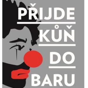 Přijde kůň do baru (David Grossman) (česky)