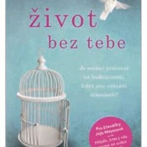 Život bez tebe (Katie Marshová) (česky)