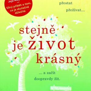 Stejně je život krásný (Katie Marshová) (česky)
