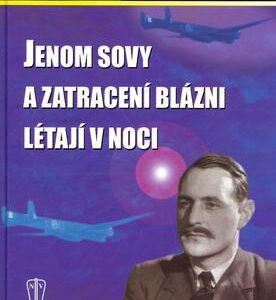 Jenom sovy a zatracení blázni létají v noci (Tom Sawyer) (česky)