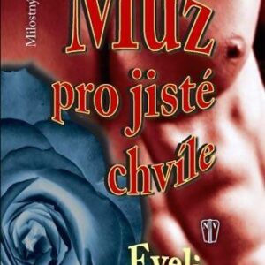 Muž pro jisté chvíle (Evelyn Holstová) (česky)
