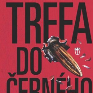 Trefa do černého (Stephen Hunter) (česky)