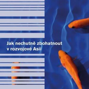 Jak nechutně zbohatnout v rozvojové Asii - Mohsin Hamid (Hamid Mohsin) (česky)