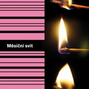 Měsíční svit (Michael Chabon) (česky)