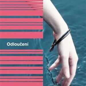 Odloučení (Katie Kitamura) (česky)