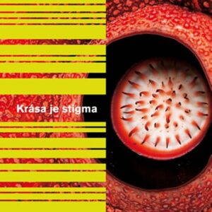 Krása je stigma (Eka Kurniawan) (česky)