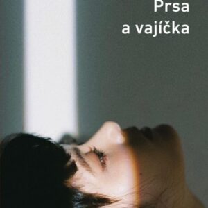 Prsa a vajíčka (Mieko Kawakami) (česky)