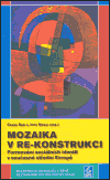 Mozaika v re-konstrukci (Nosál, Igor) (česky)
