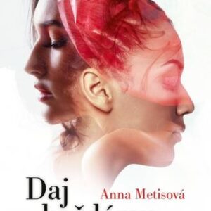 Daj každému dňu šancu (Anna Metisová)