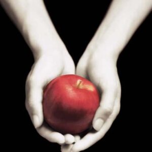 Súmrak - sága Twilight (Stephenie Meyer)