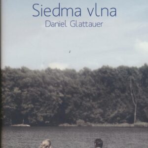 Siedma vlna (Daniel Glattauer)