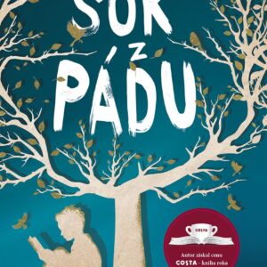 Šok z pádu (Nathan Filer)
