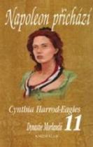 Napoleon přichází (Cynthia Harrod-Eagles) (česky)