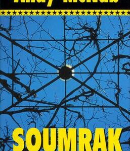 Soumrak (Andy McNab) (česky)