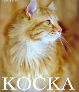 Kočka - hravá společnice (Bruce Fogle) (česky)