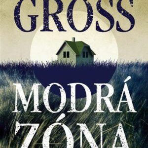 Modrá zóna (Andrew Gross) (česky)
