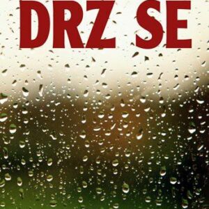 Drž se (Harlan Coben) (česky)